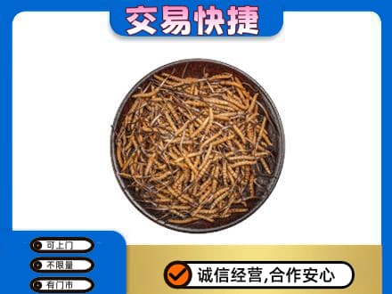 垫江县礼品回收虫草.jpg